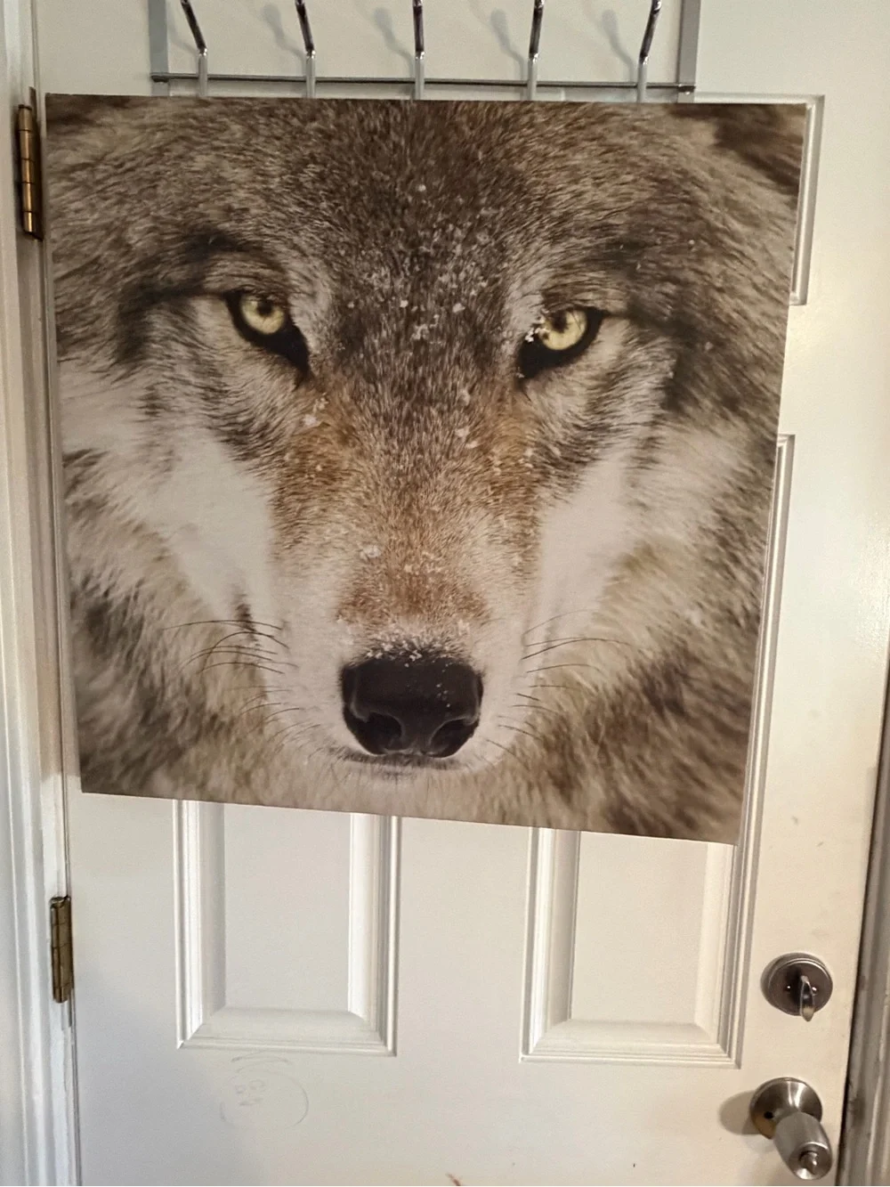 Large Wolf Face Wall Art Print - Neutral Tones